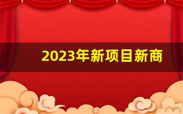 2023年新项目新商机_小县城最缺什么生意